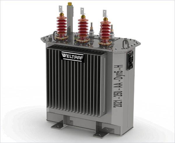 MEDIUM POWER & DISTRIBUTION TRANSFORMER